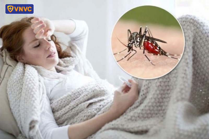 sốt xuất huyết thì sốt mấy ngày