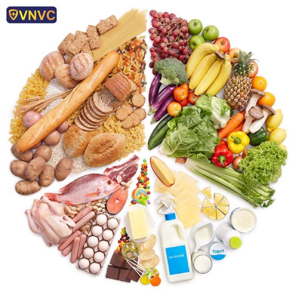 Thực đơn dinh dưỡng khoa học