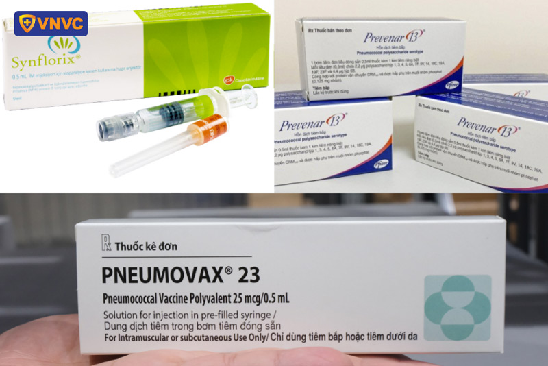 vắc xin phế cầu lưu hành tại Việt Nam