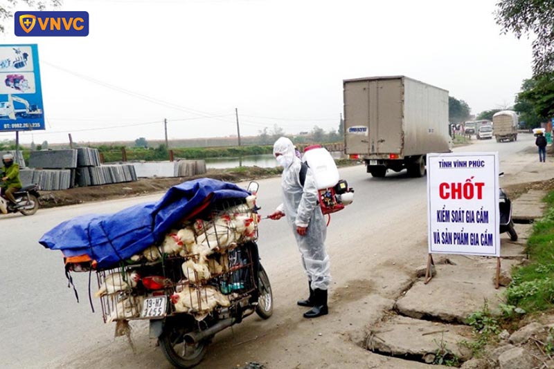 chốt kiểm soát gia cầm