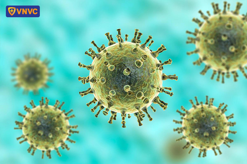 hình ảnh virus varicella zoster