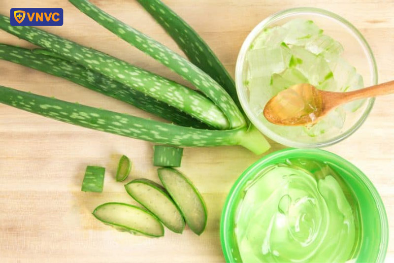 nha đam làm dịu da, giảm viêm zona