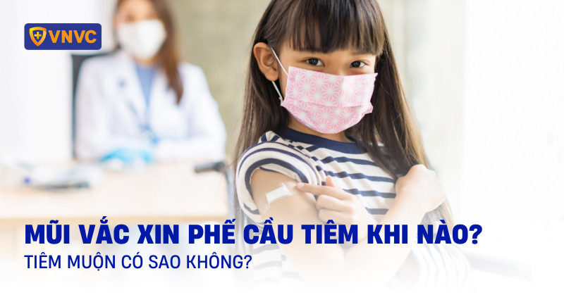 phế cầu tiêm khi nào