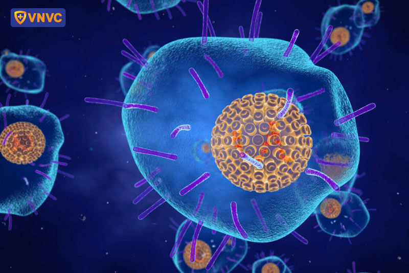 varicella zoster virus