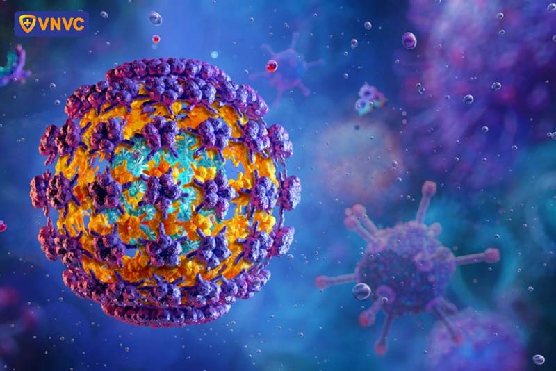 hpv nguy cơ tiến triển thành ung thư
