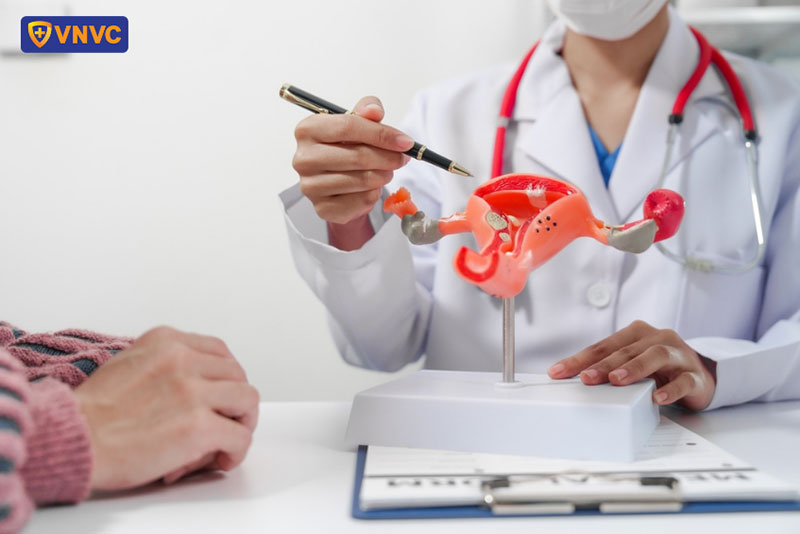 Phát hiện và điều trị sớm là yếu tố tiên quyết gia tăng cơ hội chữa khỏi ung thư cổ tử cung giai đoạn sớm.