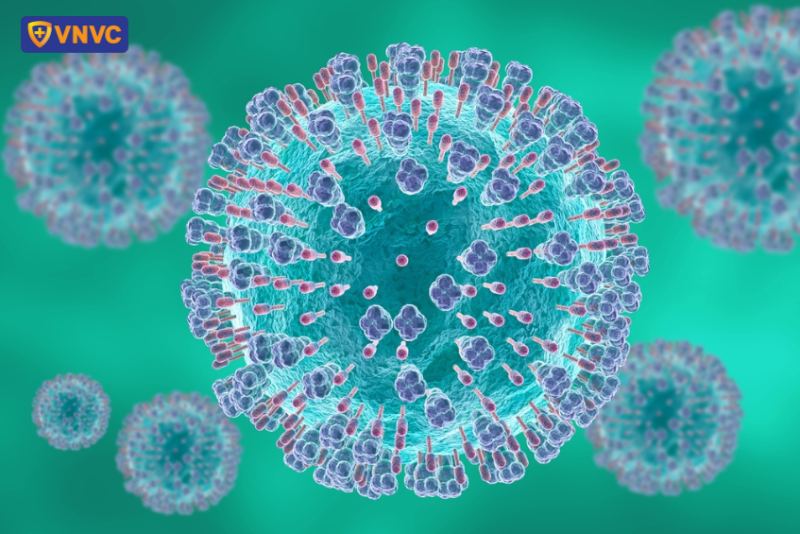 RSV là virus đường hô hấp