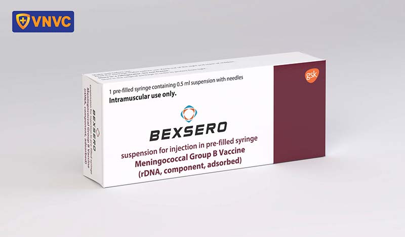 Bexsero là vắc xin phòng viêm màng não do não mô cầu nhóm B