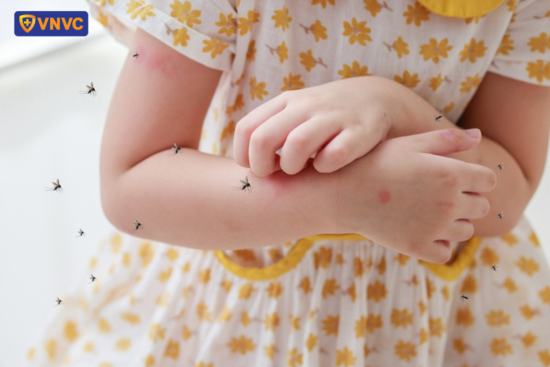 muỗi truyền bệnh sốt xuất huyết