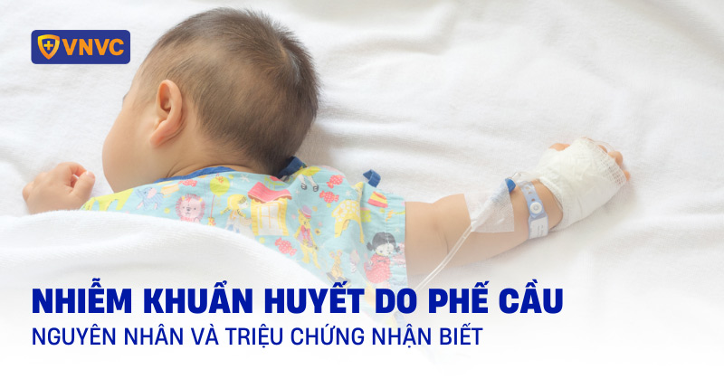 nhiễm khuẩn huyết do phế cầu