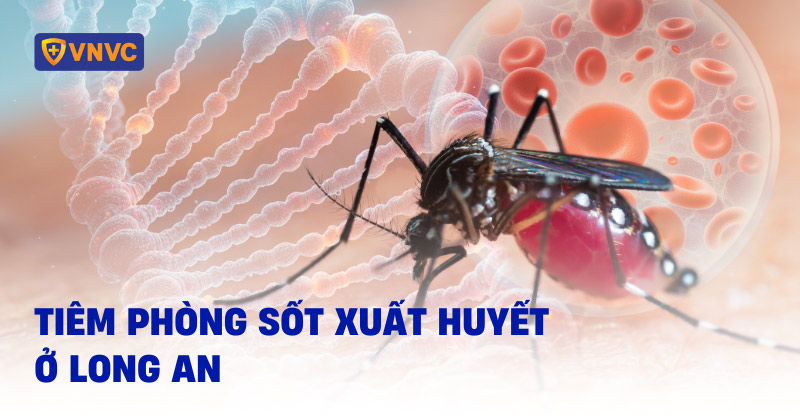 tiêm phòng sốt xuất huyết ở long an
