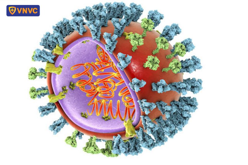 virus cúm a