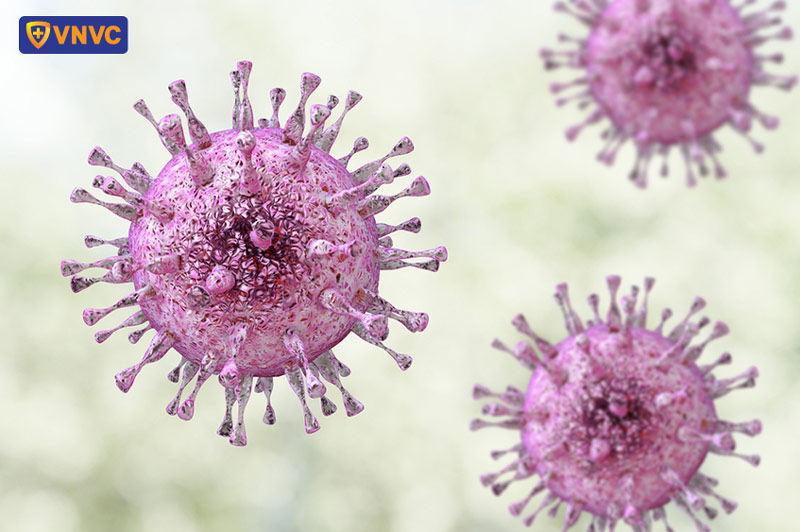 virus gây bệnh zona