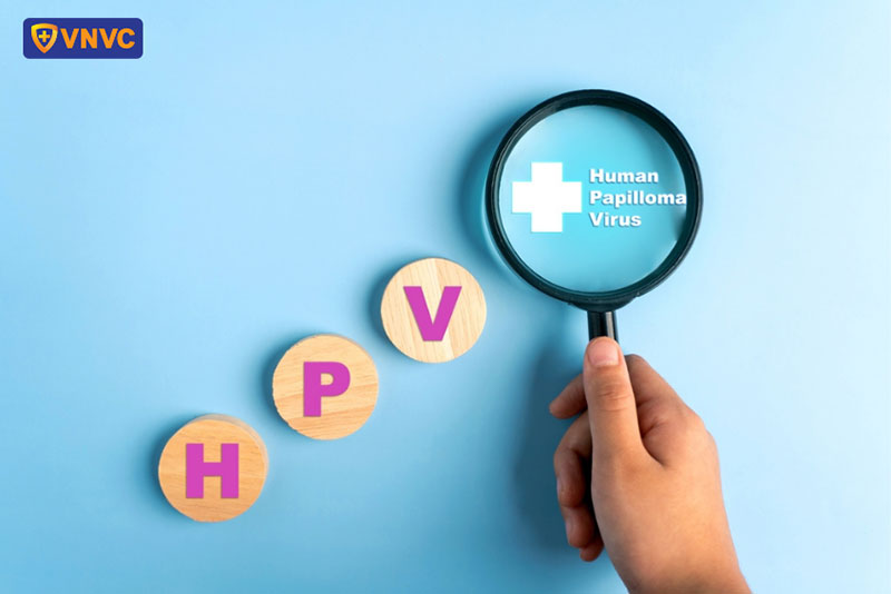 virus hpv