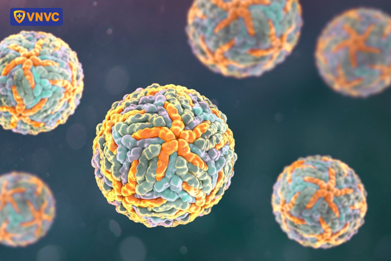 virus sốt xuất huyết
