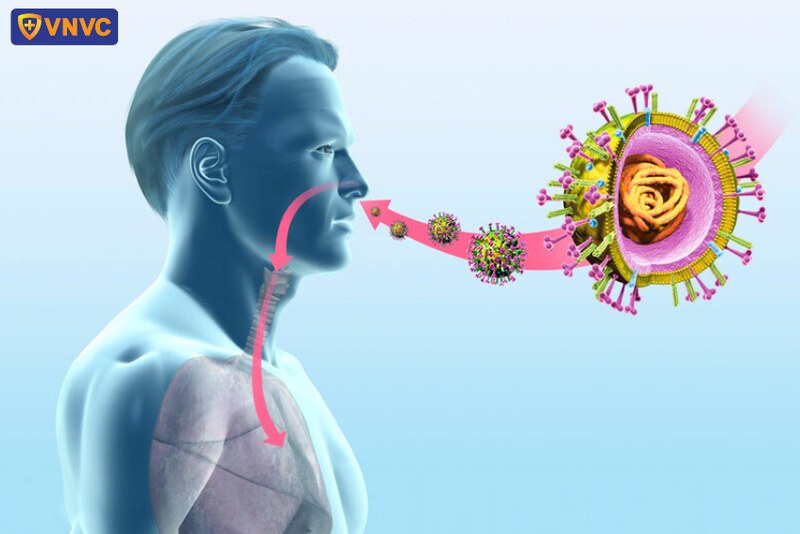 cúm a có tái lại không