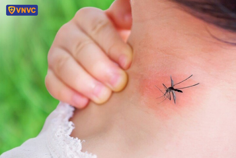 muỗi đốt gây bệnh sốt xuất huyết
