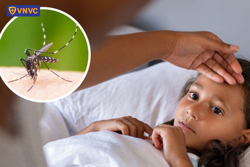 sốt xuất huyết không phát ban có nguy hiểm không