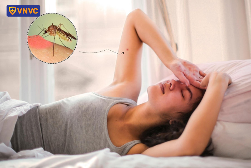 sốt xuất huyết không phát ban