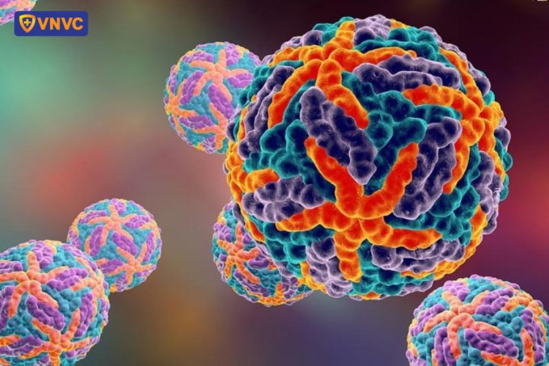 virus gây bệnh sốt xuất huyết