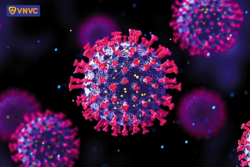 virus rsv