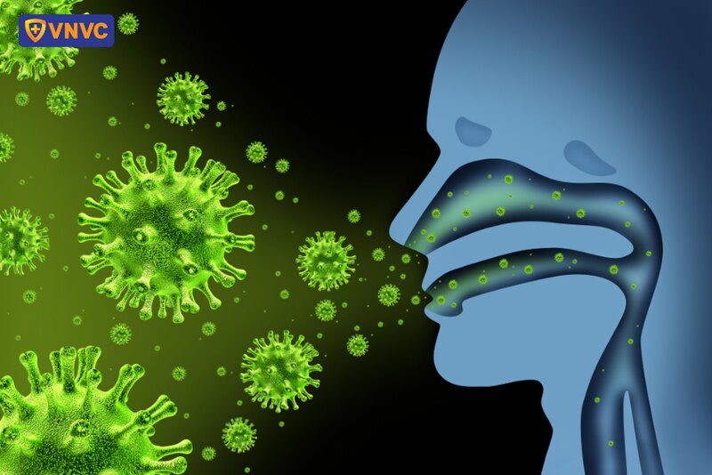 influenza virus là nguyên nhân gây bệnh cúm ở phụ nữ mang thai