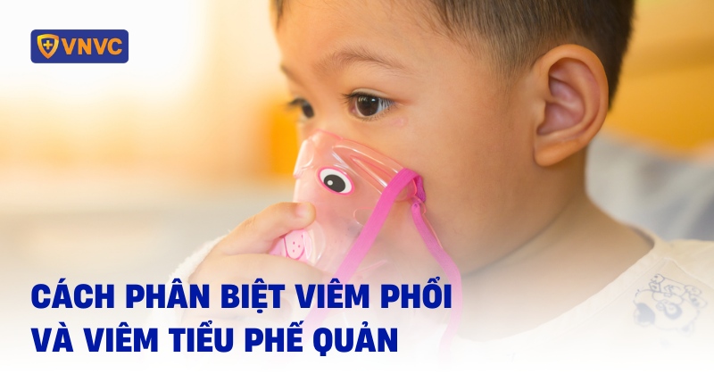 phân biệt viêm phổi và viêm tiểu phế quản