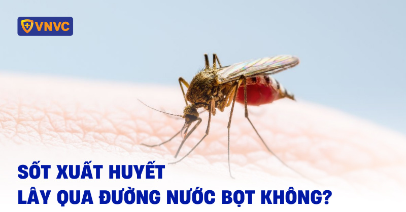 sốt xuất huyết lây qua đường nước bọt không