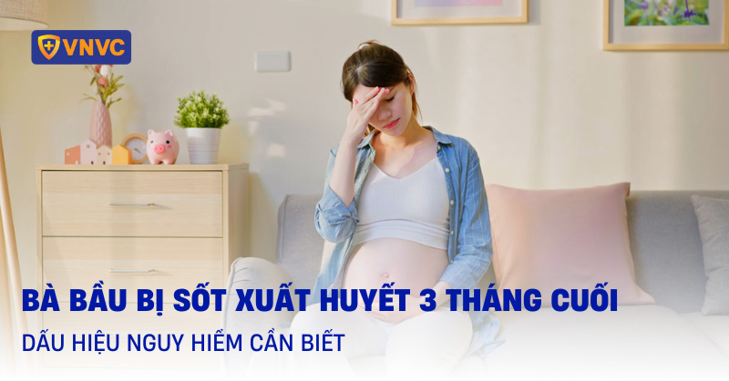 bà bầu bị sốt xuất huyết 3 tháng cuối