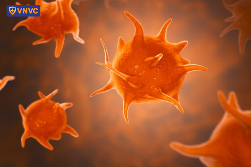 bị sốt xuất huyết có gây thiếu máu không