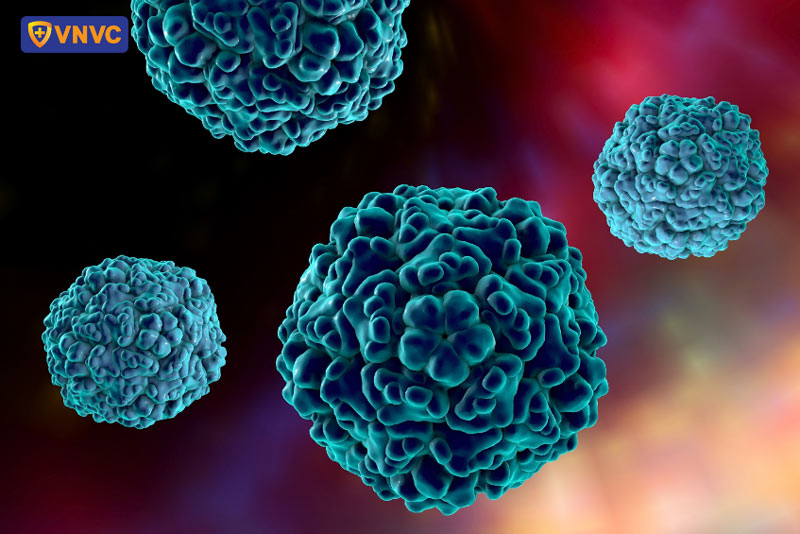 enternovirus gây bệnh tay chân miệng