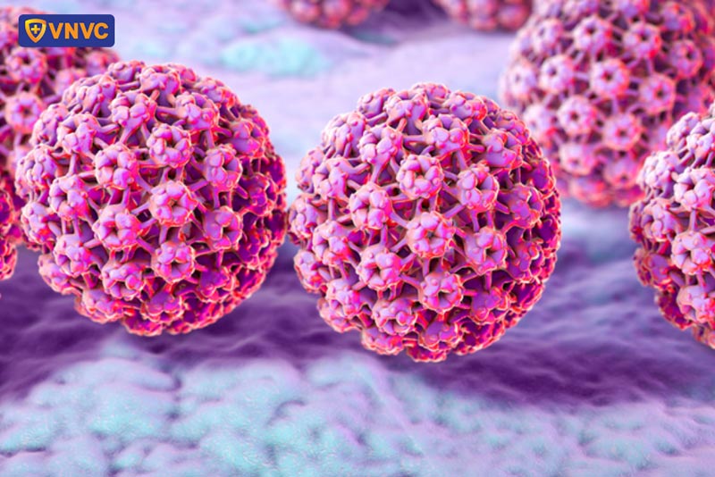 hình ảnh virus hpv