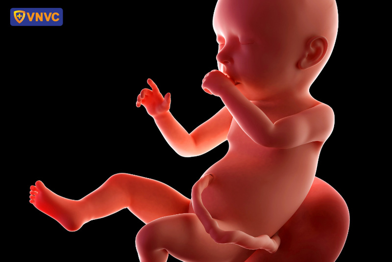 mẹ bầu 3 tháng cuối bị cúm ảnh hưởng đến thai nhi