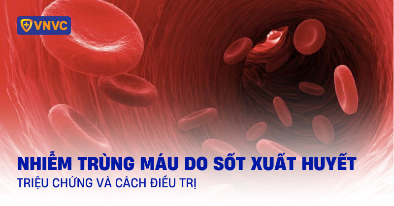nhiễm trùng máu do sốt xuất huyết