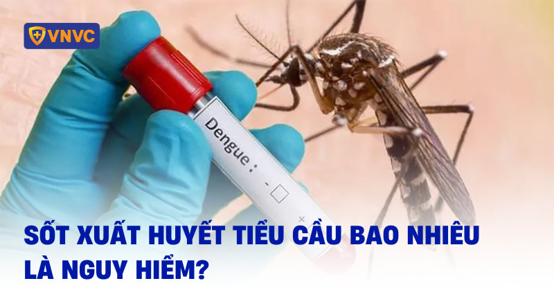 sốt xuất huyết tiểu cầu bao nhiêu là nguy hiểm