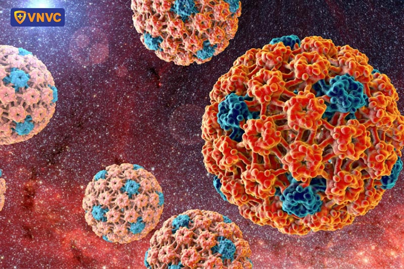 hình ảnh của virus hpv