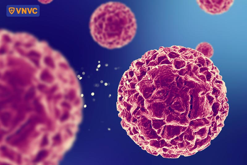 hình ảnh virus hpv type 66