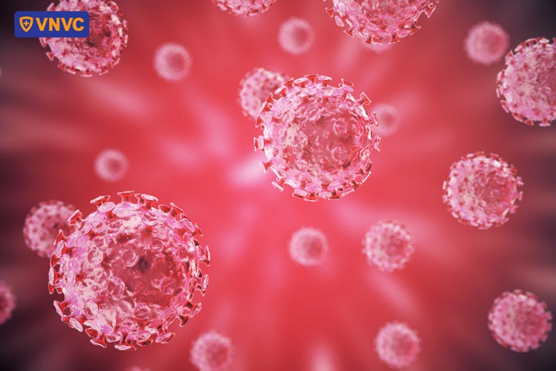 hpv có thể lây truyền qua đường máu
