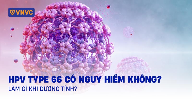 hpv type 66