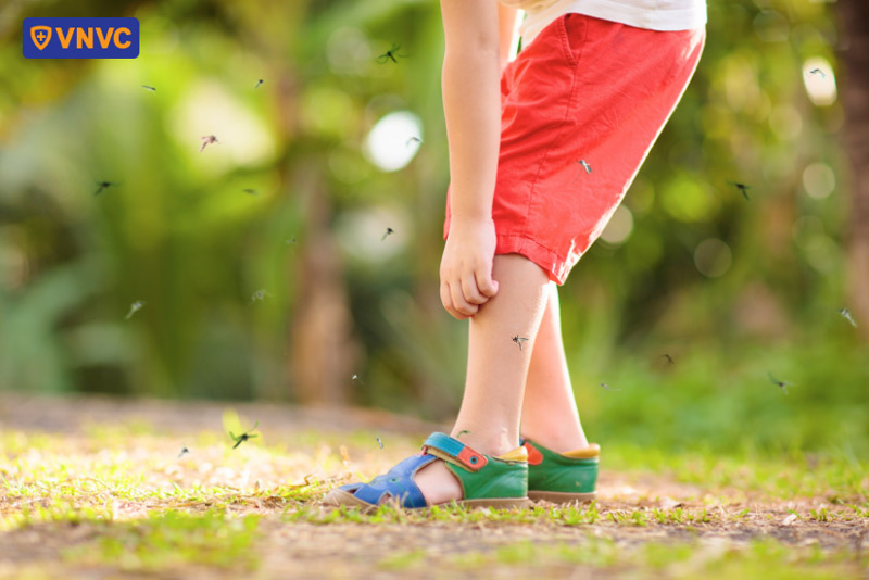 sốt xuất huyết phát ban gây ngứa