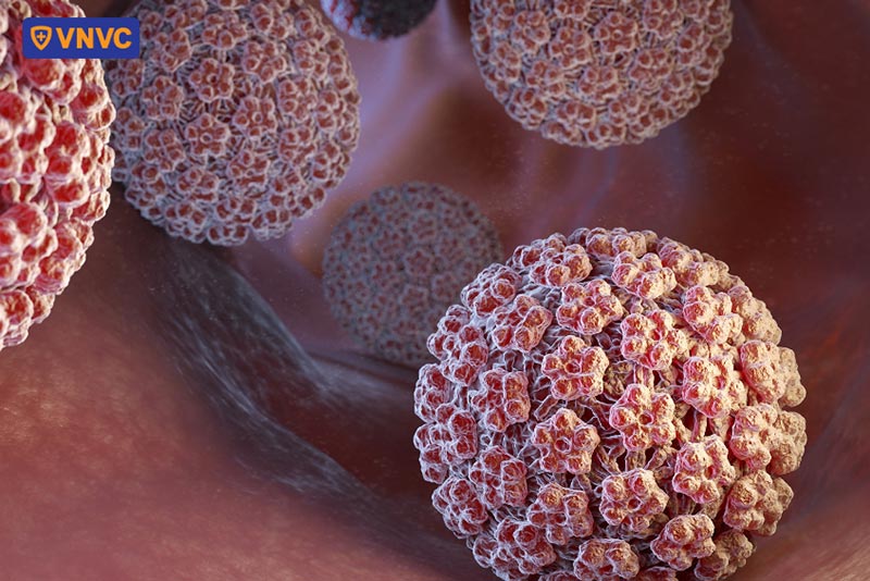 virus gây ung thư cổ tử cung hpv