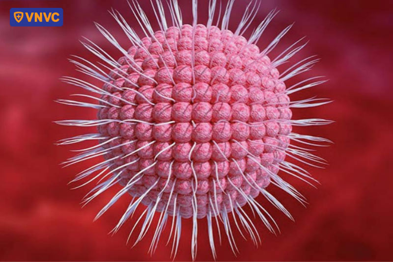 virus varicella zoster nguyên nhân gây bệnh giời leo