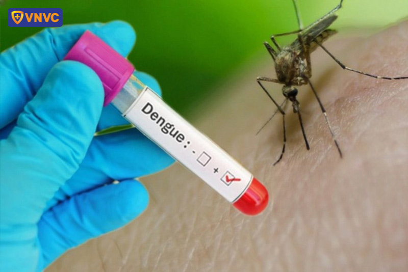 xét nghiệm sốt xuất huyết