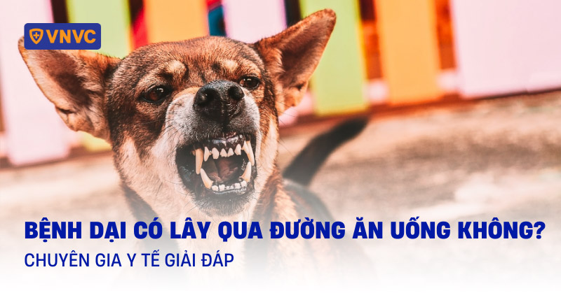bệnh dại có lây qua đường ăn uống không
