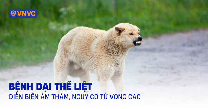 bệnh dại thể liệt