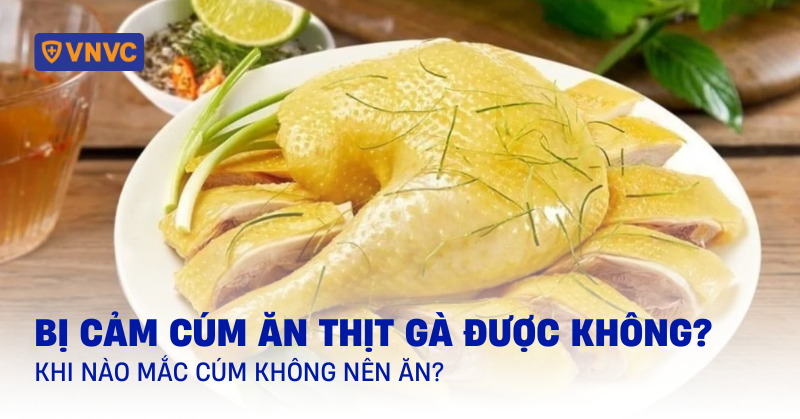 bị cảm cúm có ăn thịt gà được không