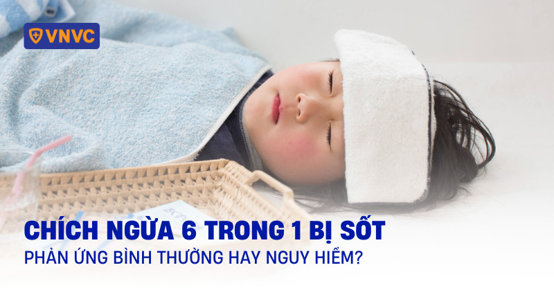 Chích ngừa 6 trong 1 bị sốt: Phản ứng bình thường hay nguy hiểm?