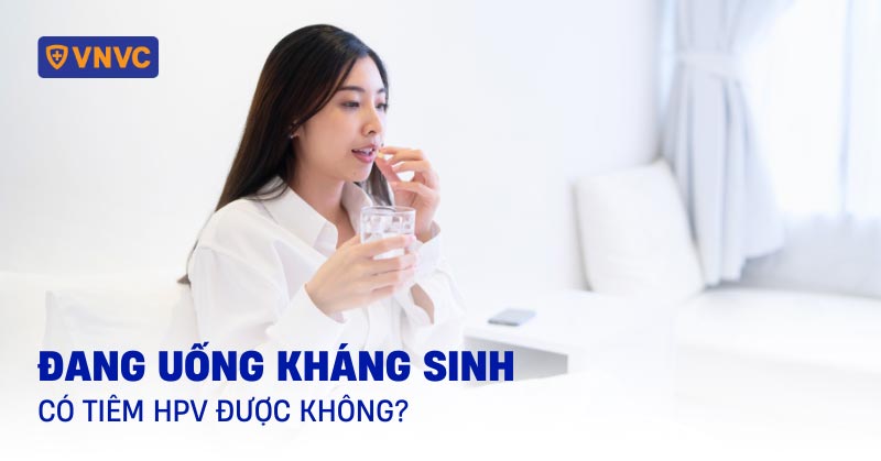 đang uống kháng sinh có tiêm hpv được không