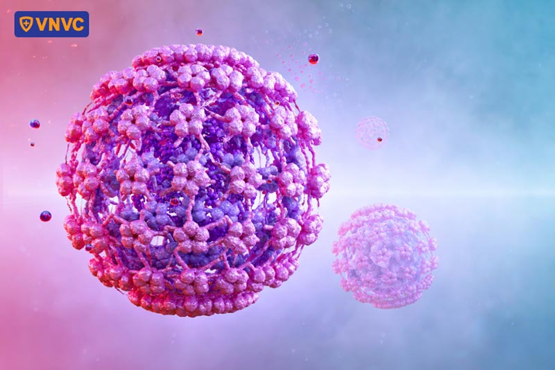 hình ảnh virus hpv