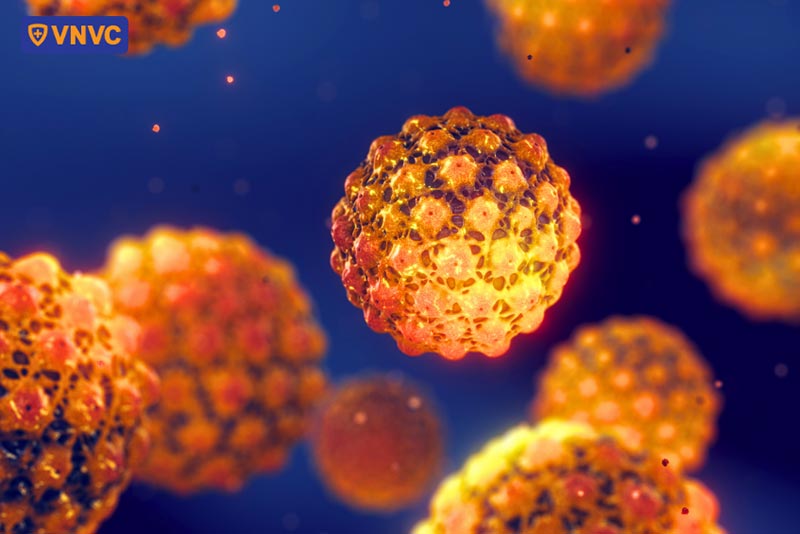 hình dạng của virus hpv
